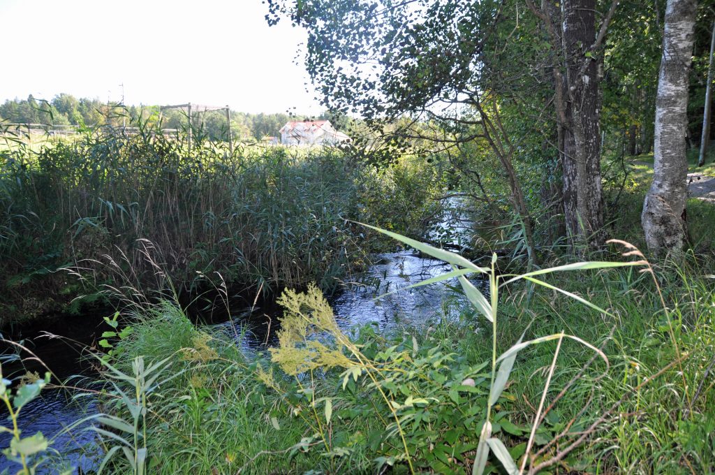 Lyckebyån