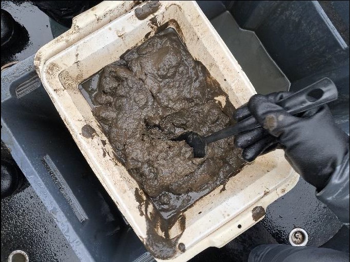 Kortrapport - Sedimentundersökning i sjöar inom Tyresåns avrinningsområde 2025